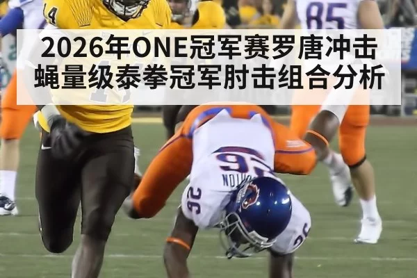 2026年ONE冠军赛罗唐冲击蝇量级泰拳冠军肘击组合分析